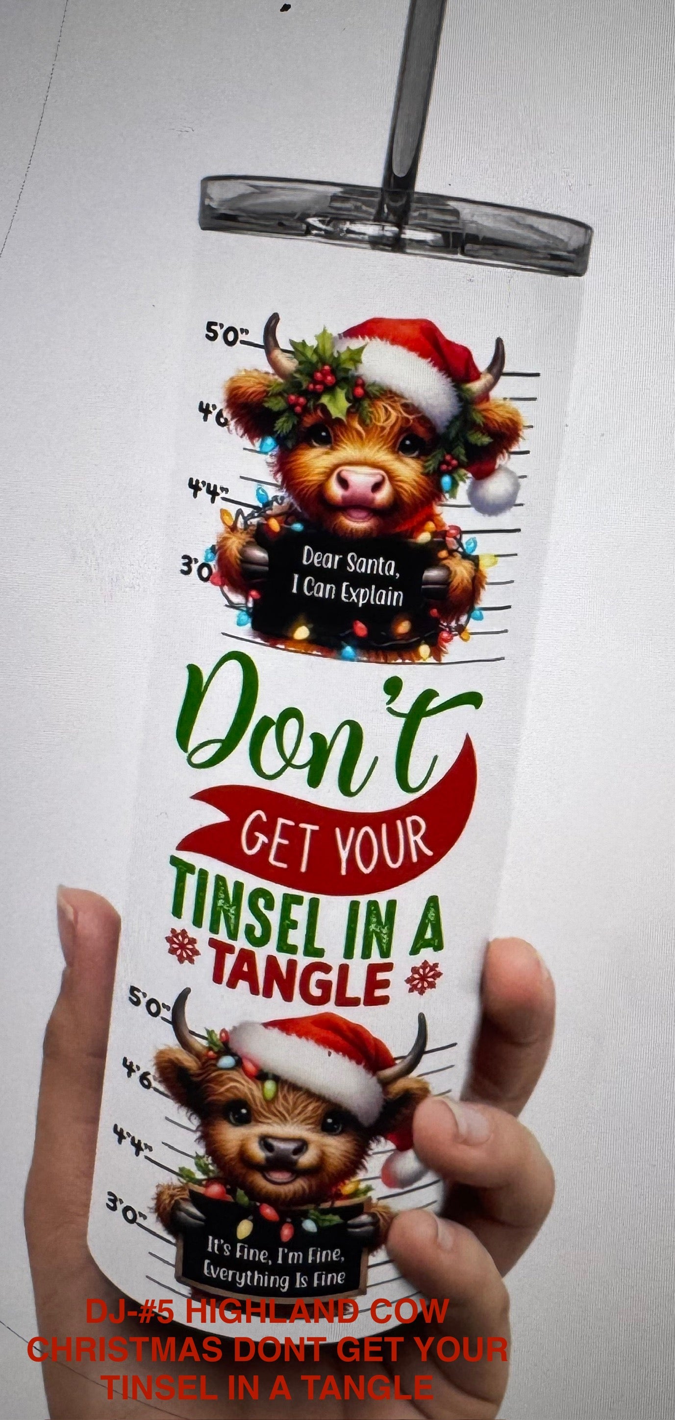 Tumbler DJ#2 HIGHLAND COW CHRISTMAS SWEET BUT SASSY