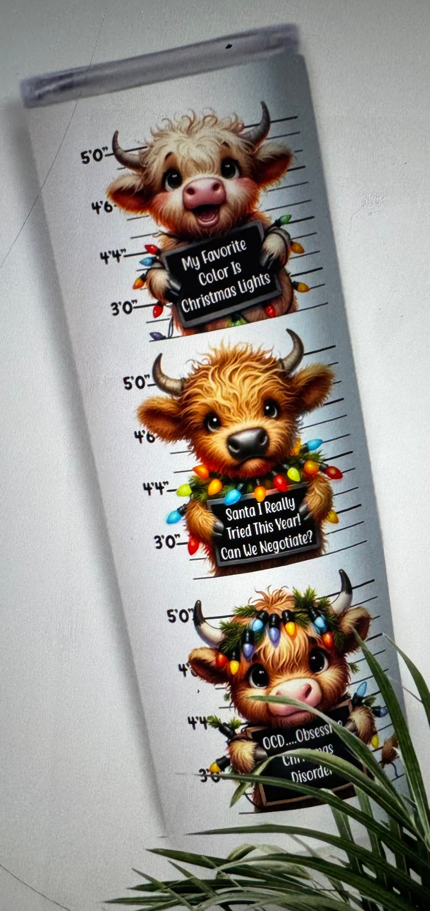 Tumbler DJ#2 HIGHLAND COW CHRISTMAS SWEET BUT SASSY